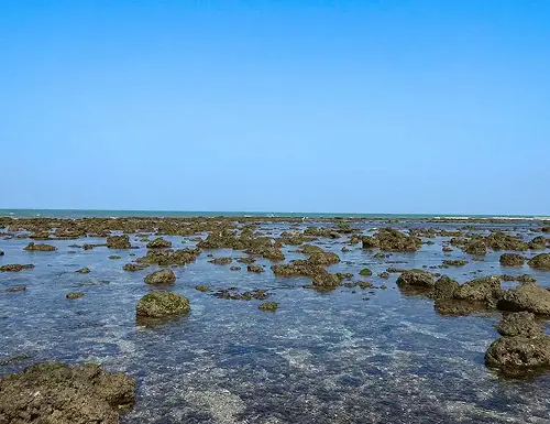 Marine National Park in Jamnagar
